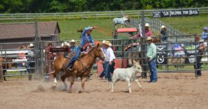 Calf Roping