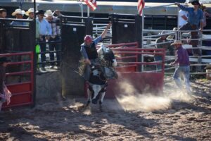 Bull Riding