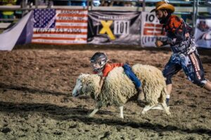 Riding a Sheep